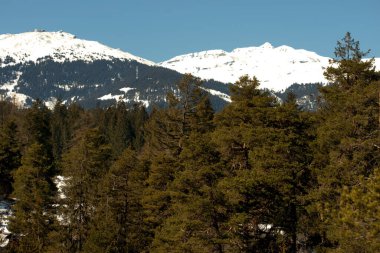İsviçre 'de kış mevsiminde İsveç yakınlarında inanılmaz beyaz dağlar. 20.2.2021