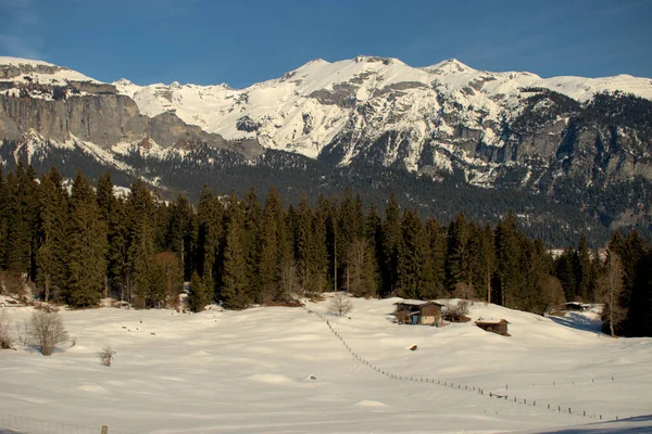 Otroliga Vita Berg Vintern Nära Flims Schweiz 2021 — Stockfoto