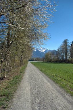 Vaduz, Liechtenstein 4.2021 'den güzel bir bahar manzarası.