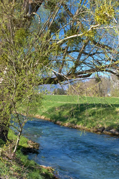 Malá Řeka Teče Krajinou Vaduzu Lichtenštejnsku 2021 — Stock fotografie