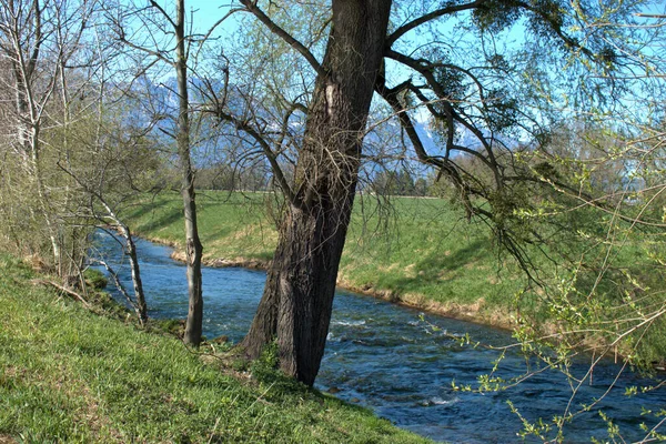 Μικρός Ποταμός Διασχίζει Την Ύπαιθρο Στο Βαντούζ Του Λιχτενστάιν 2021 — Φωτογραφία Αρχείου
