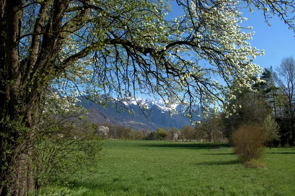 Bela Paisagem Primavera Vaduz Liechtenstein 2021 — Fotografia de Stock
