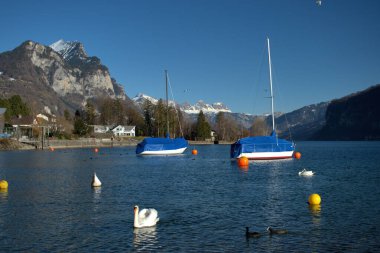 İsviçre, Weesen 'deki Walensee' de güzel bir gün 21.2.2021
