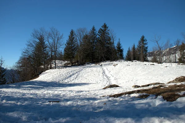 Alpine Winter Scenery Amden Switzerland 2021 — Zdjęcie stockowe