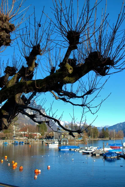 Vacker Dag Walensee Weesen Schweiz 2021 — Stockfoto