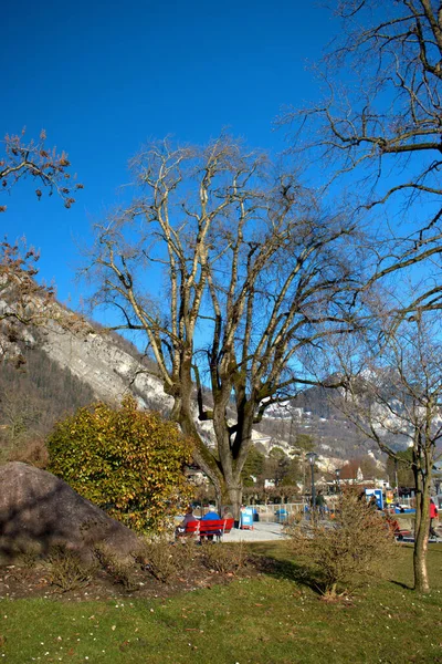 Paisagem Natural Parque Weesen Suíça 2021 — Fotografia de Stock