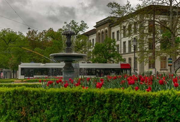 Sviçre Winterthur Şehrindeki Bir Çeşmeye Sıçrattı — Stok fotoğraf