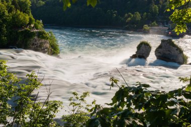 28.5.2021 İsviçre, Schaffhausen yakınlarındaki Avrupa 'daki en büyük şelale.