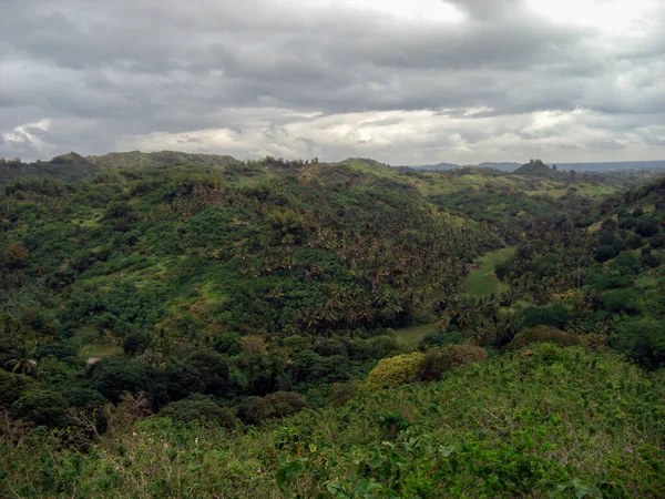 Green Vegetation Seen Hill Bulalacoa Mindoro Island Philippines 2017 — Photo