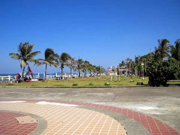 Palmen Einer Reihe Der Strandpromenade Roxas Auf Der Insel Panay — Stockfoto