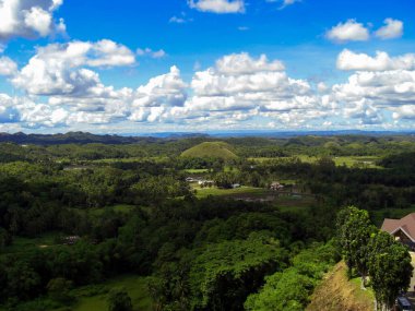 Filipinler 'deki Bohol adasındaki görkemli çikolata tepelerine bakın. 19.11.2014