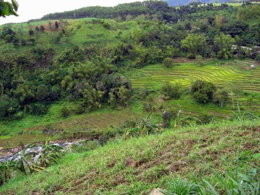10.11.2013 'te Filipinler' deki Negros adasındaki manzara manzarası