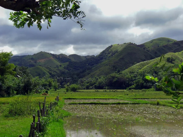 Τοπίο Τοπίο Από Νησί Των Νέγρων Στις Φιλιππίνες 2013 — Φωτογραφία Αρχείου