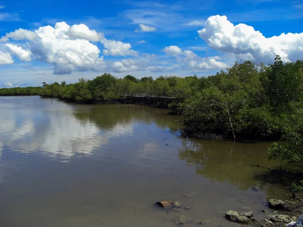 Beautiful Coast Scenery Island Negros Philippines 2013 — Stock Photo, Image