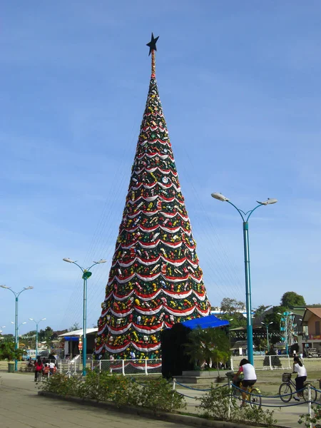 Grande Árvore Natal Exibida Puerto Princessa Ilha Palawan Nas Filipinas — Fotografia de Stock