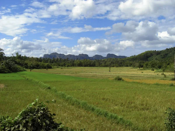 Majestueus Landschap Het Eiland Palawan Filipijnen 2012 — Stockfoto
