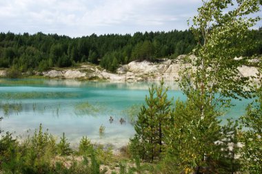 Güzel su ve çevresinde yeşil ağaçlar