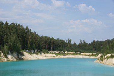 Güzel su ve çevresinde yeşil ağaçlar