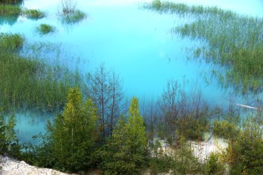 Mavi ve yeşil - güzel Rus doğa