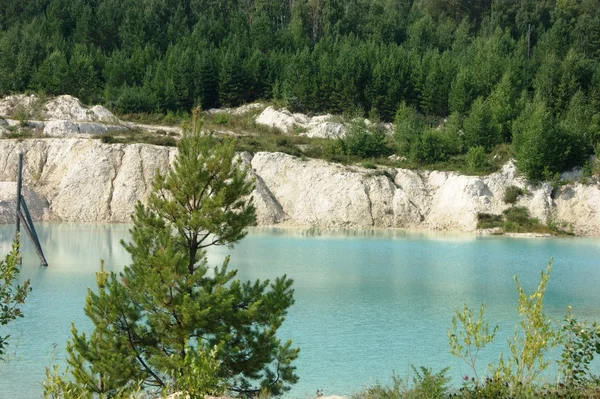 Çok güzel yaz manzara