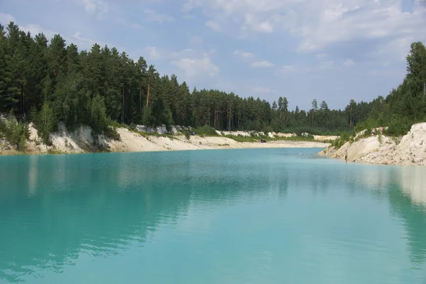 Güzel su ve çevresinde yeşil ağaçlar