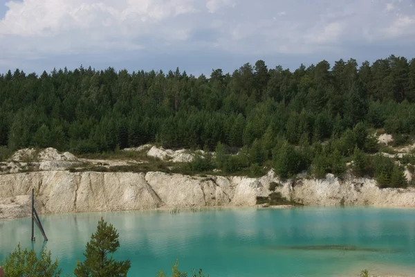 Güzel su ve çevresinde yeşil ağaçlar