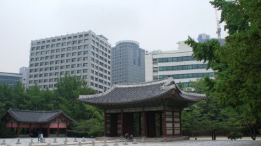 Yeşil bir sürü ile Seul açık park 