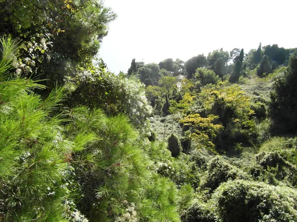 美丽的黑山, 城市的乌尔齐尼在夏天 — 图库照片