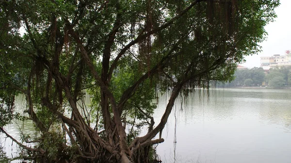 Paisagem asiática, bela vista no Vietnã — Fotografia de Stock