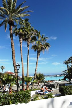 Kanarya Tenerife, doğa ve Şehir Adası