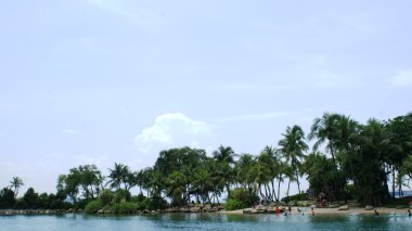 Güzel ve temiz doğa Singapur