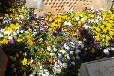 Valetta, Malta başkenti görünümünü