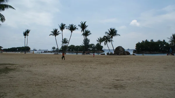 Schöne und klare Natur von Singapore — Stockfoto