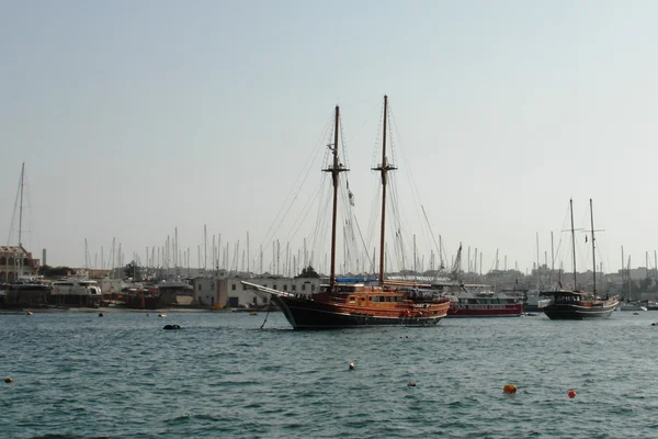 Φύση της Μάλτας, στη Μεσόγειο θάλασσα — Φωτογραφία Αρχείου