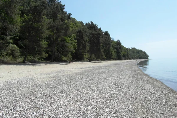 Natureza clara em Mussera, Abkhazia — Fotografia de Stock