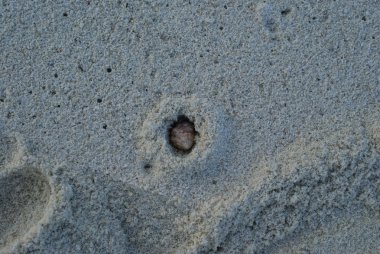 Hint Okyanusu, en iyi resort Maldivler