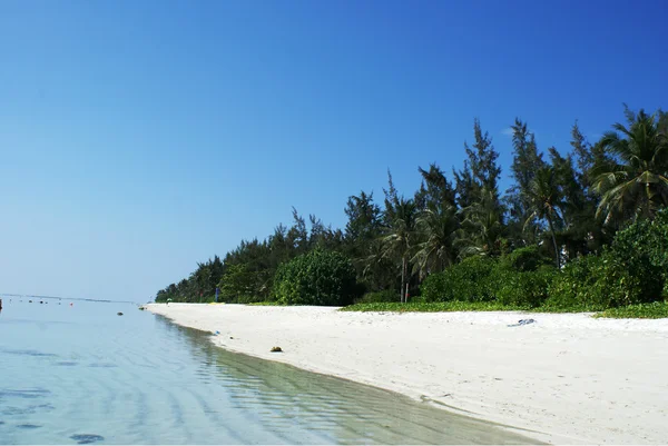 Индийский океан, лучший курорт Мальдивы — стоковое фото
