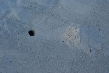 Hint Okyanusu, en iyi resort Maldivler