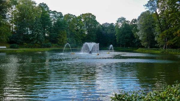 Peterhof Small Town Park Petersburg Royal Fountains Greenery Beauty Shore — Stock Photo, Image