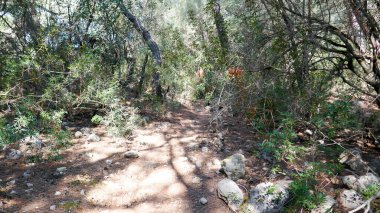 Türkiye, Oludeniz ve Fethiye ilçeleri arasındaki Lykian patikasının bir parçası. İnanılmaz manzaralar ve parlak doğa.
