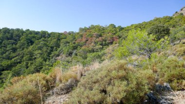 Türkiye, Oludeniz ve Fethiye ilçeleri arasındaki Lykian patikasının bir parçası. İnanılmaz manzaralar ve parlak doğa.