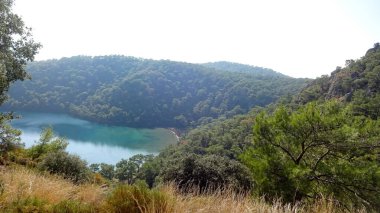 Türkiye, Oludeniz ve Fethiye ilçeleri arasındaki Lykian patikasının bir parçası. İnanılmaz manzaralar ve parlak doğa.