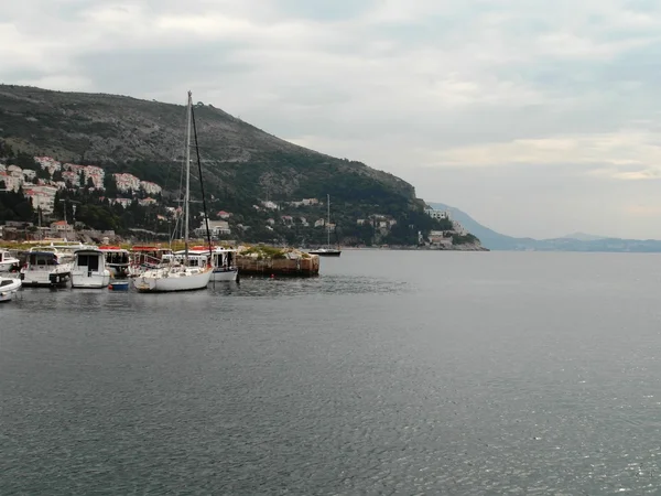 Χρόνο για να κολυμπήσετε — Φωτογραφία Αρχείου