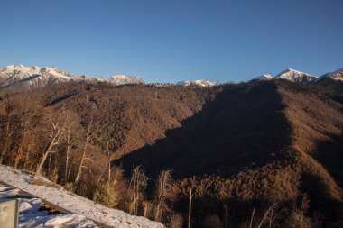 Şarap içen kişi Rosa Huter