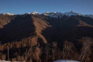Şarap içen kişi Rosa Huter manzarası 
