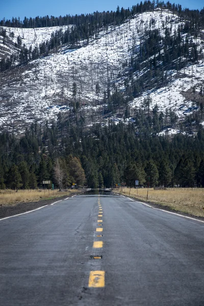 Arizona düz yol - Stok İmaj