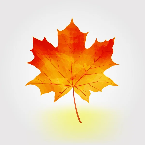 Autumn maple leaf vector illustration — Stock Vector