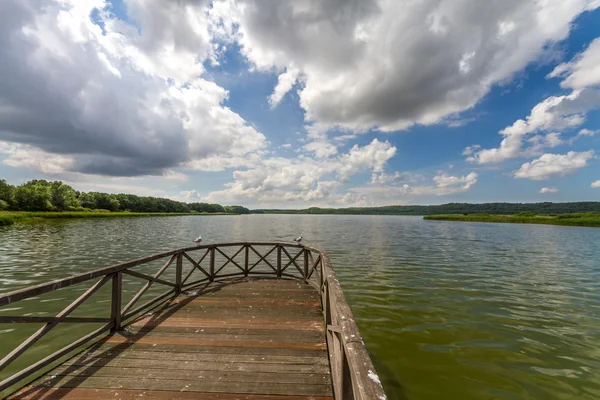 Lakeshore — Stock Photo, Image