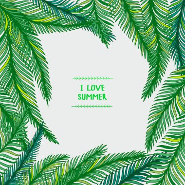 palmiye yaprakları çerçevesinde