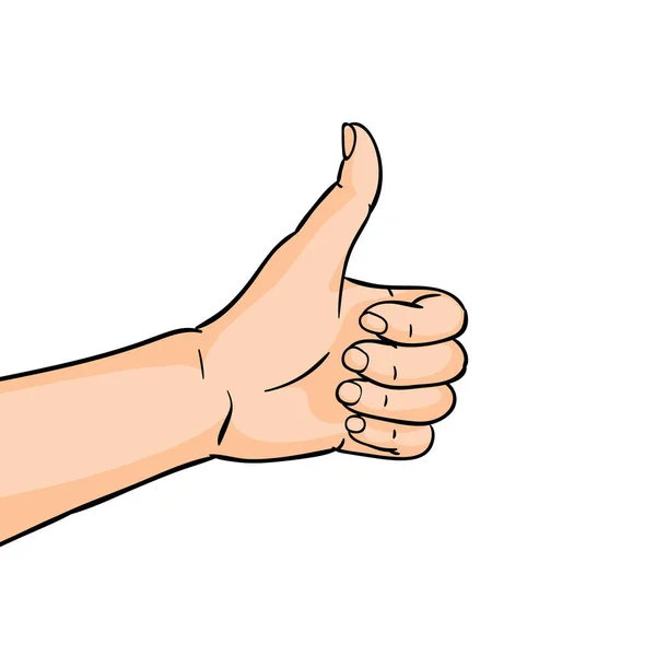 Gesto Mão Mostrando Polegar Fundo Branco Ilustração Desenhada Mão Vetorial — Vetor de Stock